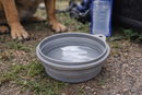 Pet Travel Bowl (Collapsible)