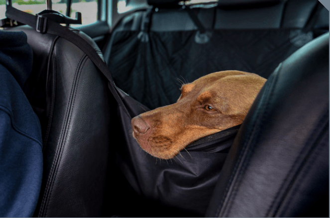Dog Car Seat Cover Hammock