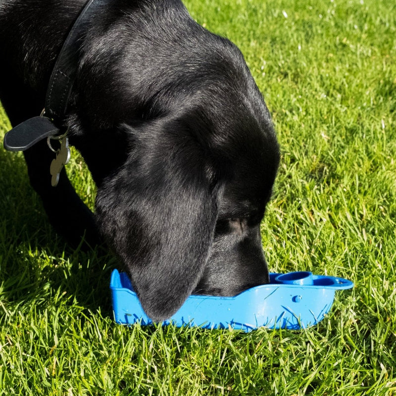 Dog Travel Kit Large (Harness, Travel Bottle, Travel Bowl, First Aid Kit)