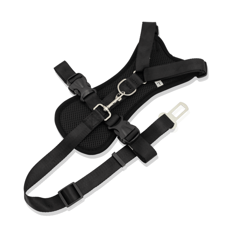 Dog Travel Kit Large (Harness, Travel Bottle, Travel Bowl, First Aid Kit)