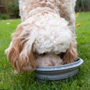 Dog Travel Kit Large (Harness, Travel Bottle, Travel Bowl, First Aid Kit)