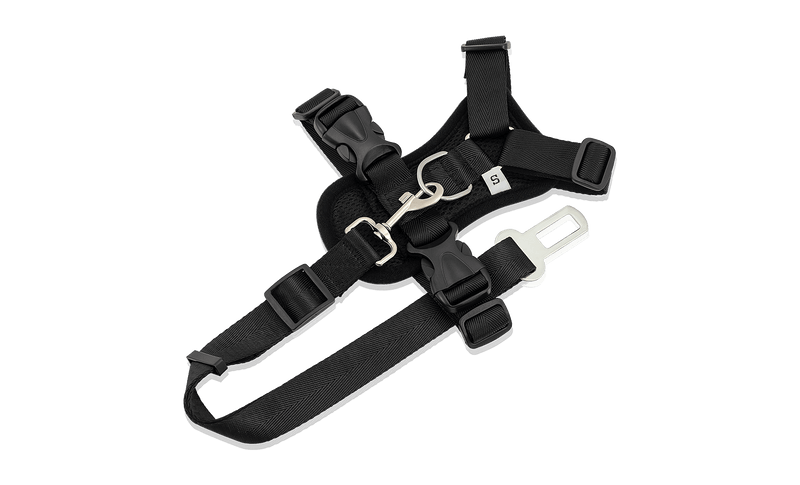 Strap Harness